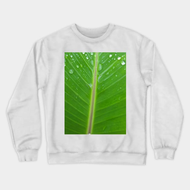 Green banana leaf vein with raindrops Crewneck Sweatshirt by kall3bu